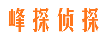 芦淞市场调查